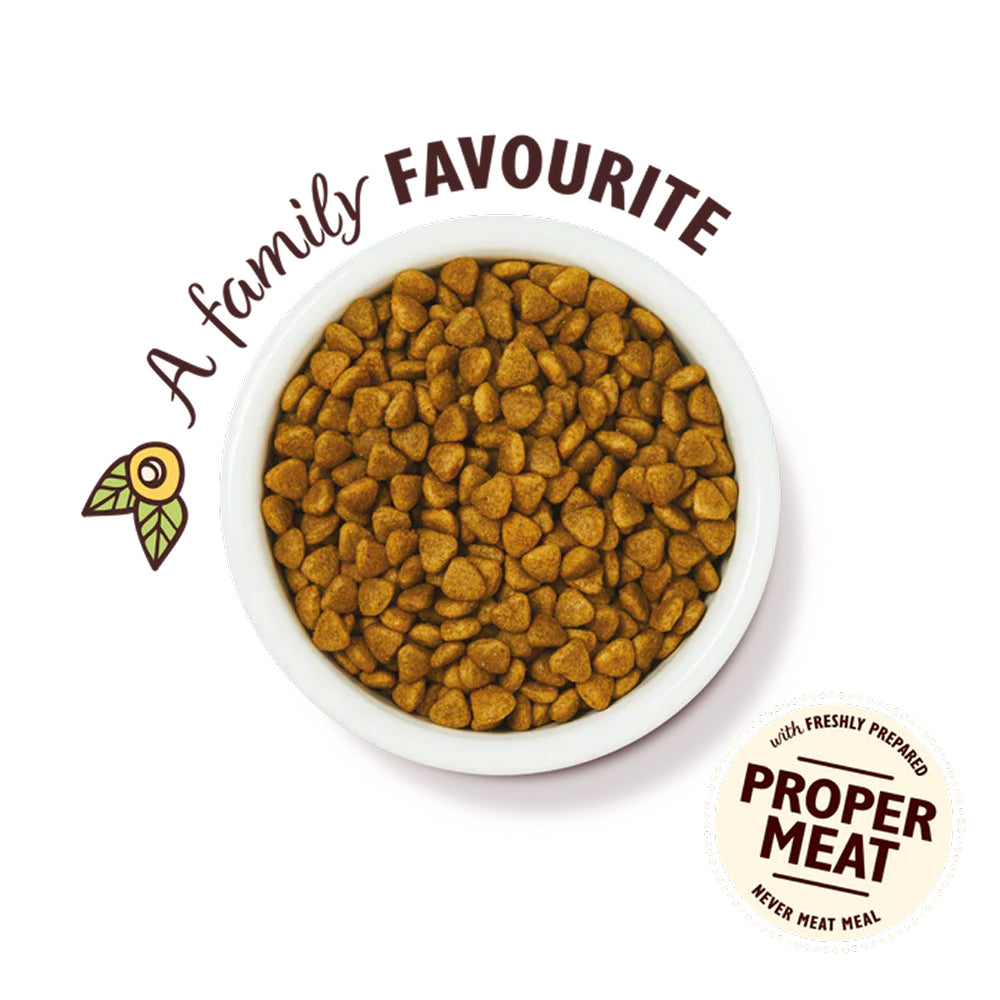 無穀物雞肉貓乾糧