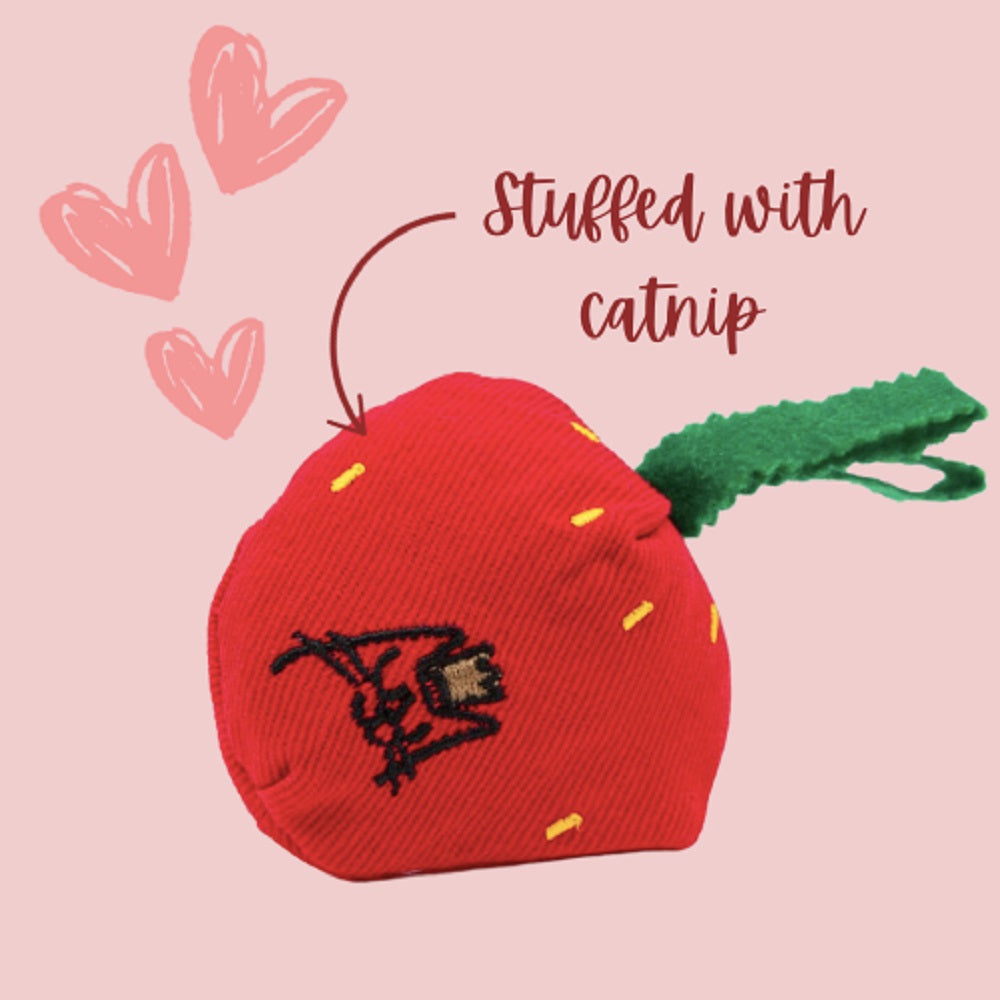 草莓貓薄荷玩具