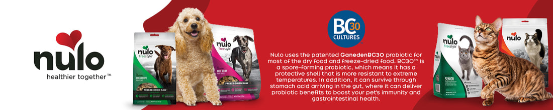 Nulo