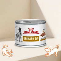 VHN Urinary S/O 狗狗罐頭