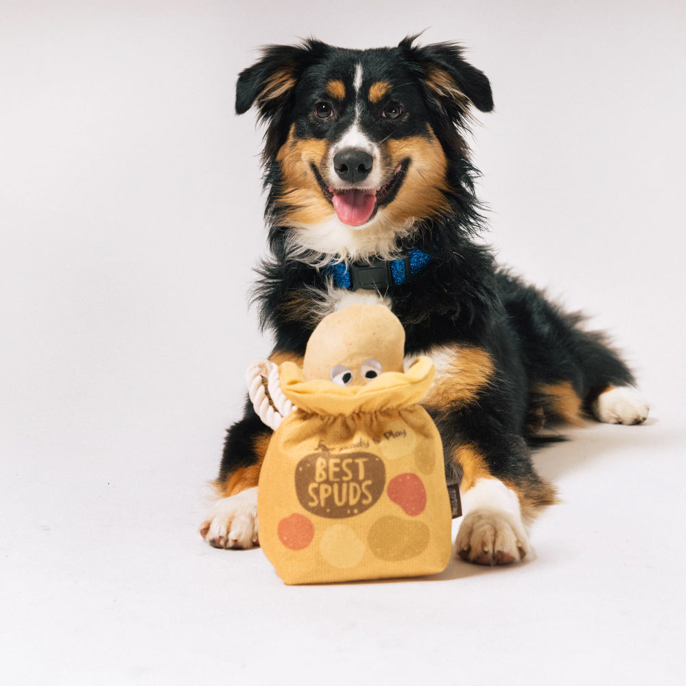 鮮摘薯仔好友 3合1 玩具