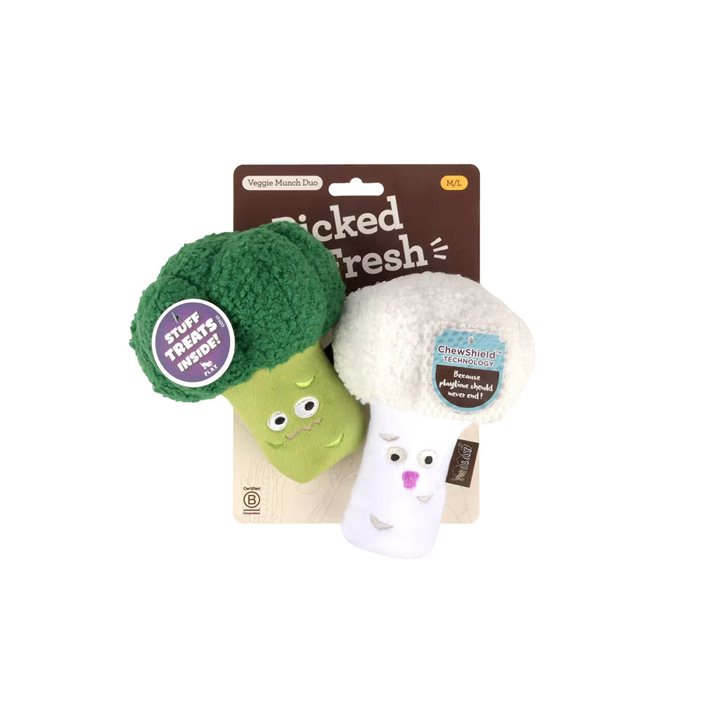 鮮摘蔬菜脆趣雙寶