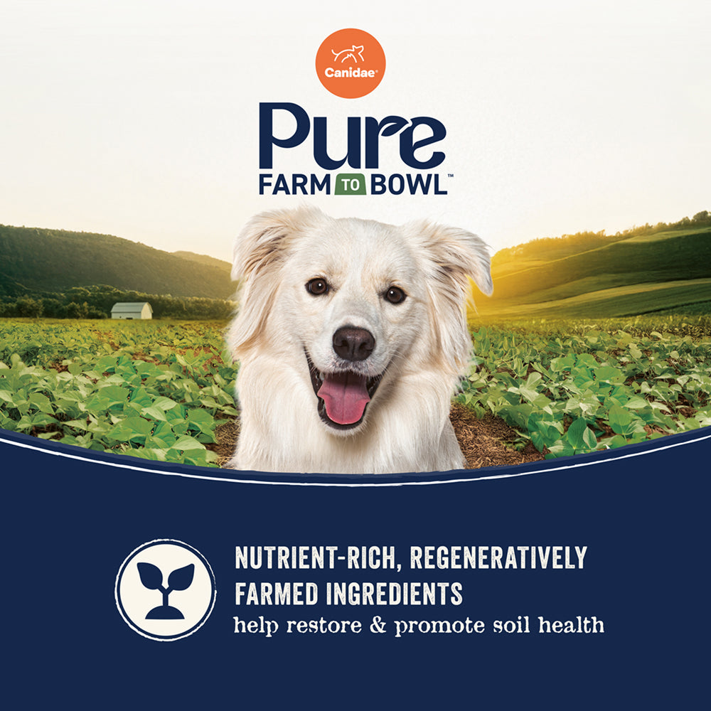 PURE 低敏無穀物系列 - 三文魚紅薯配方狗乾糧