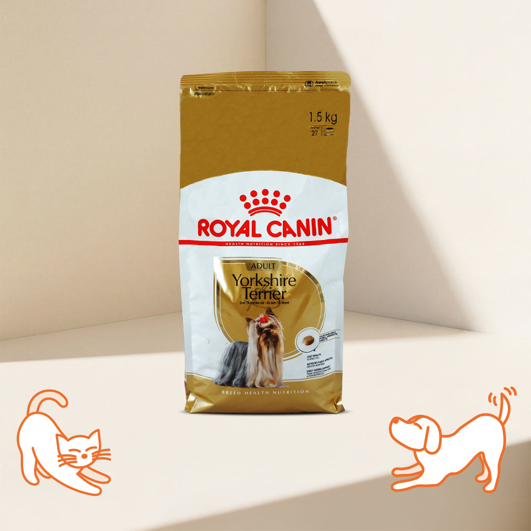 BHN 約克夏成犬配方乾糧