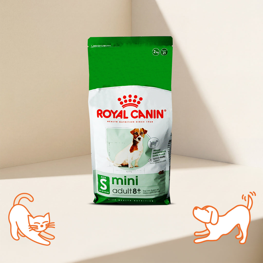 Royal Canin  SHN 小型成年犬 8+ 配方狗乾糧