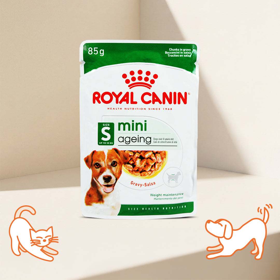 Royal Canin SHN 小型老犬 12+ 肉汁主食濕糧