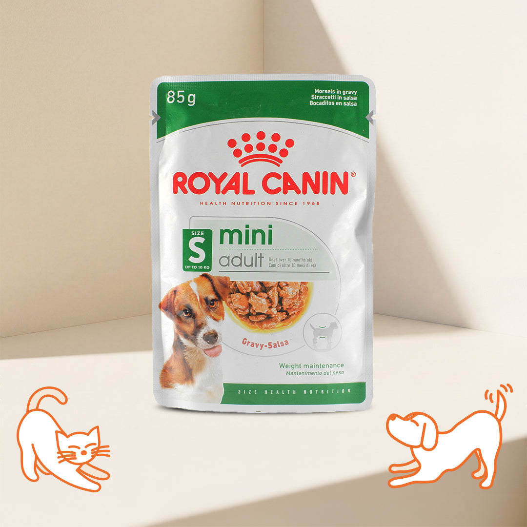 Royal Canin SHN 小型成犬肉汁主食濕糧