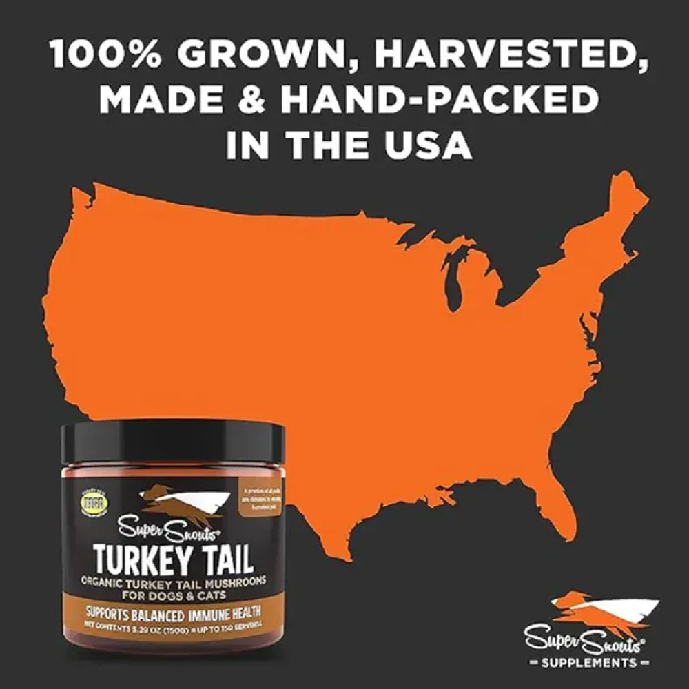 火雞尾蘑菇動力寵物補充劑