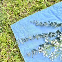 泰迪天堂寵物旅行墊（狗狗與貓咪適用）