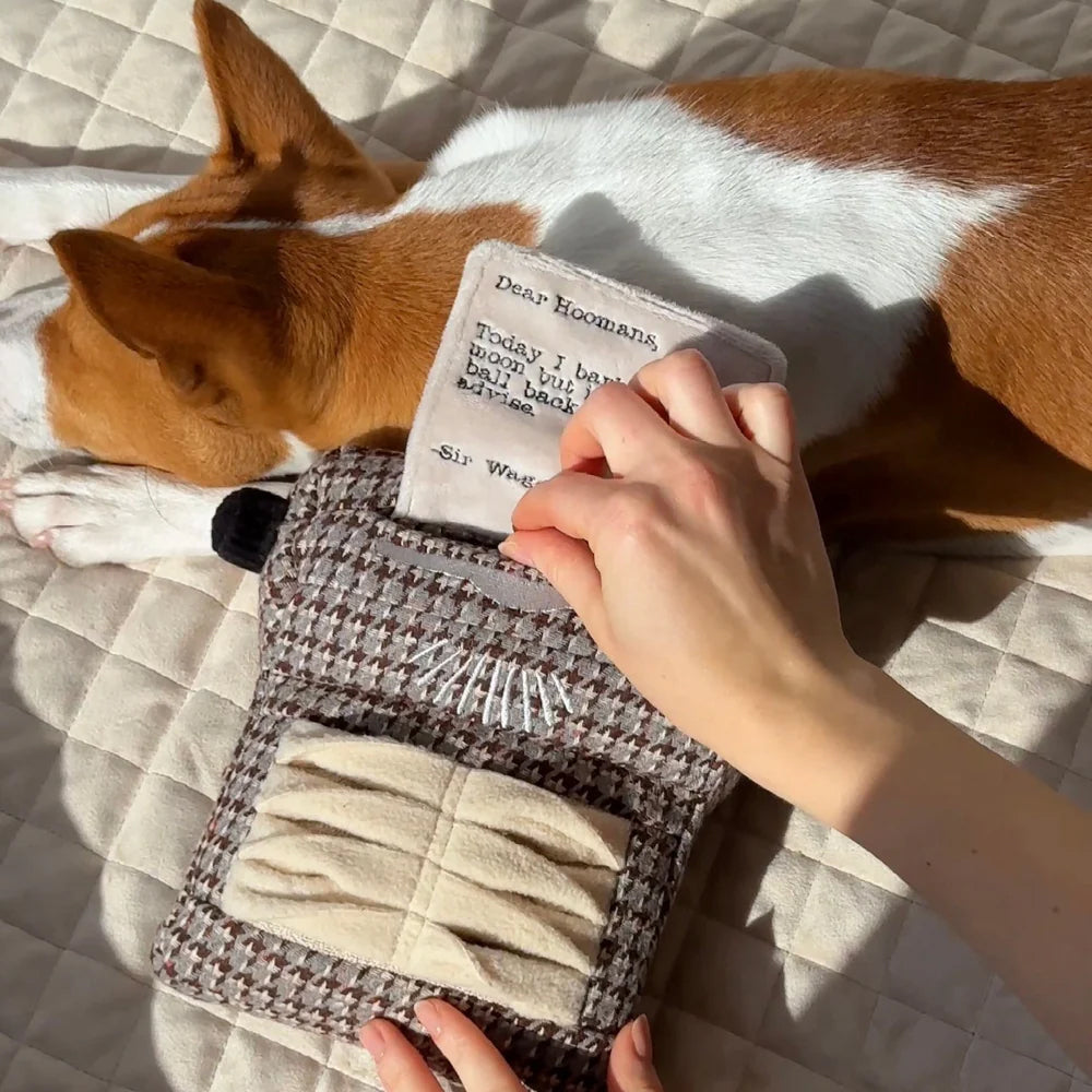 Typewriter 嗅聞與發聲狗玩具