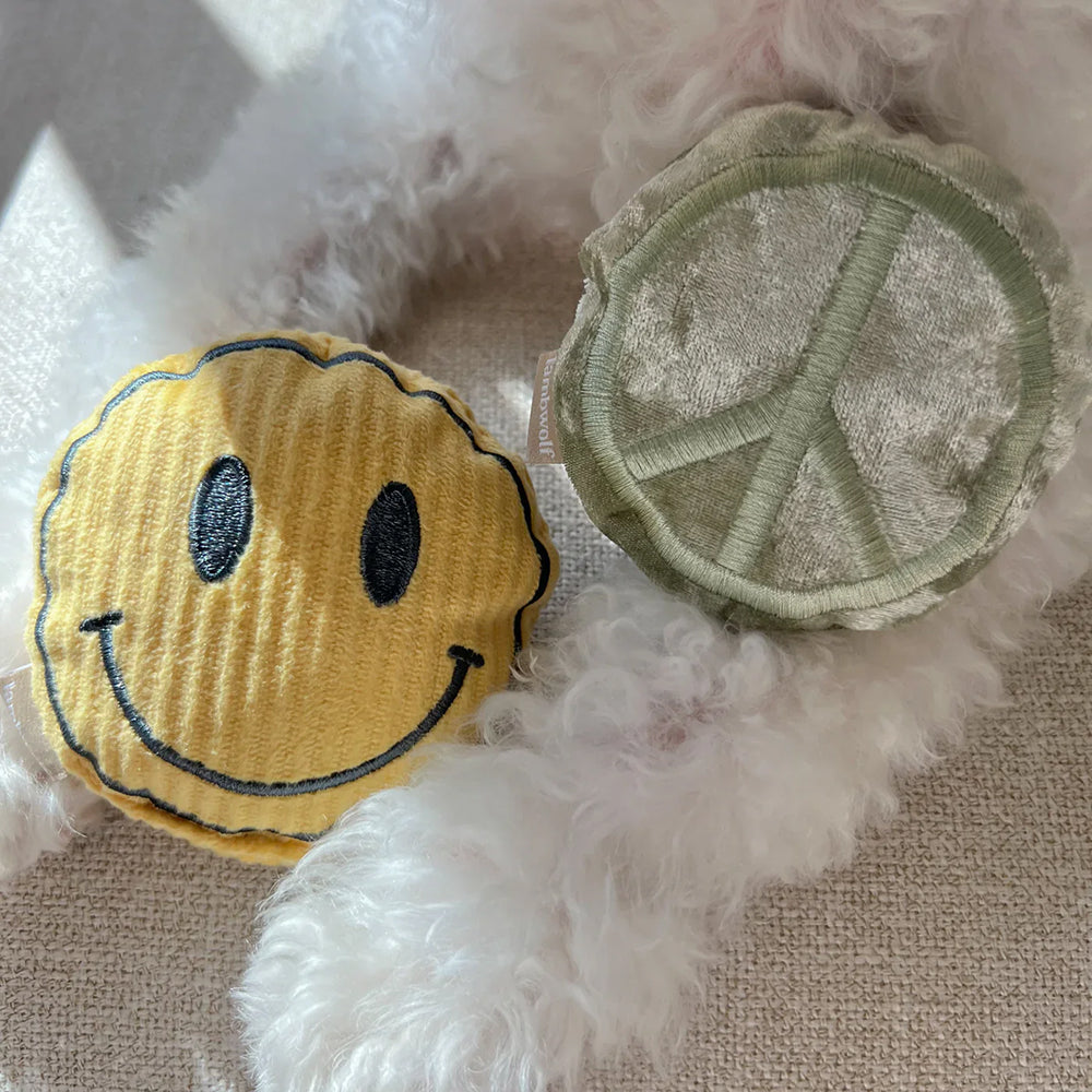 Keep Rollin 嗅聞與發聲狗玩具