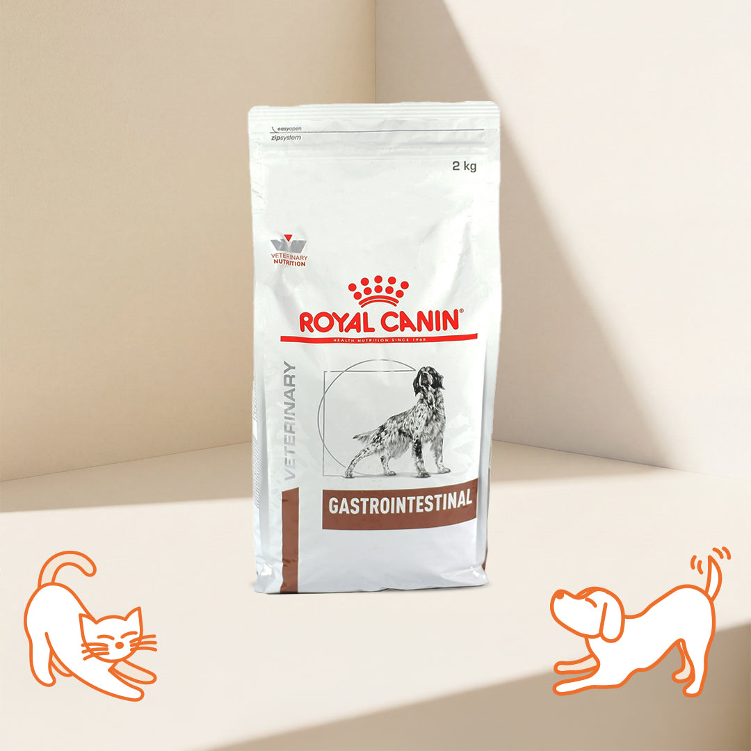 VHN 腸胃成犬乾糧