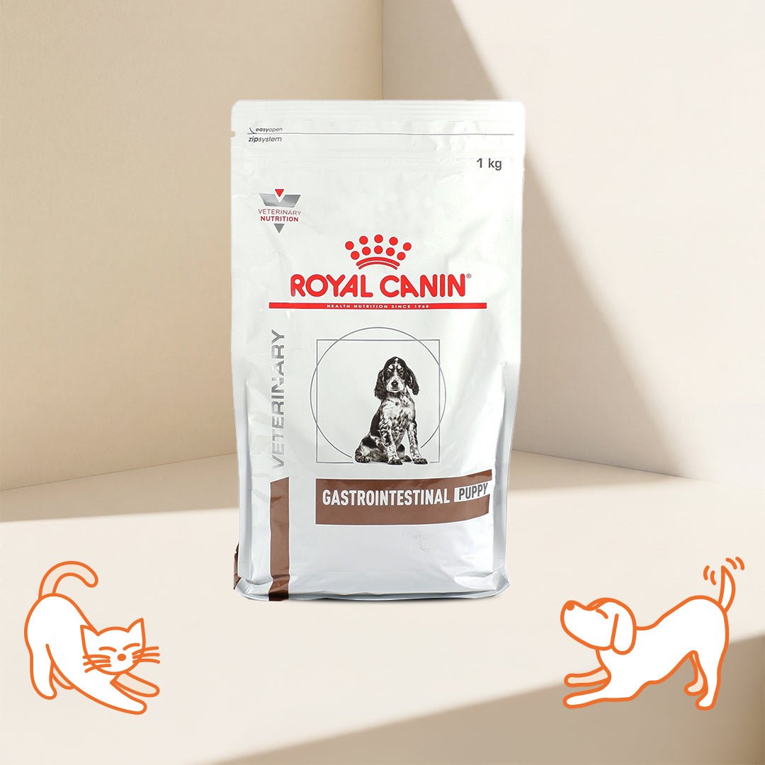 VHN 腸胃保健幼犬乾糧