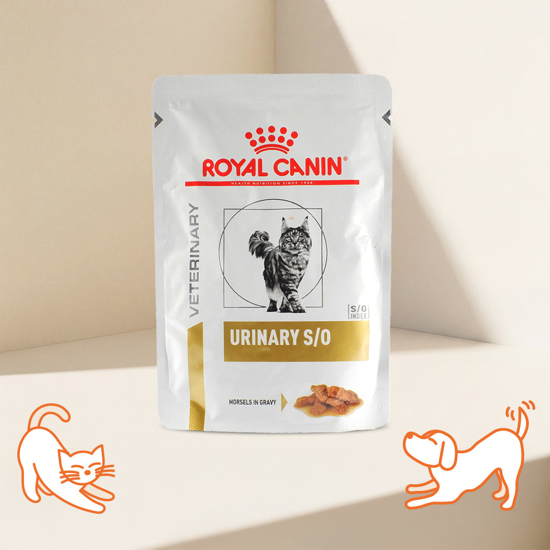 VHN 泌尿道保健雞肉貓濕包