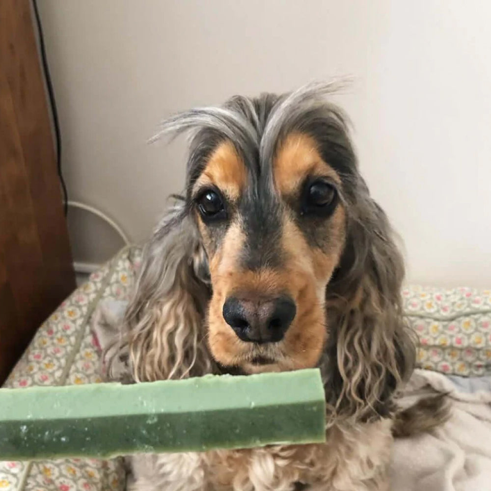 Fang Chews - 煙燻口味潔齒小食（狗用）