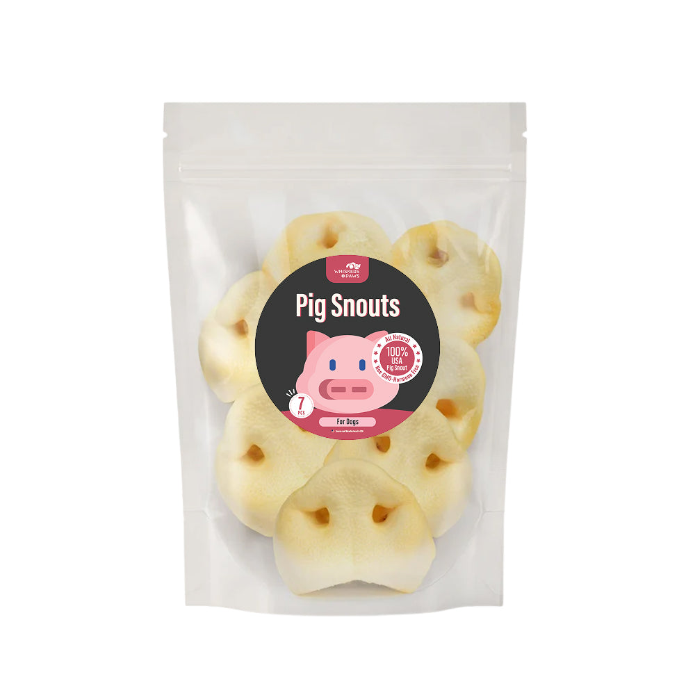 WNP 豬鼻狗狗咀嚼零食超值裝