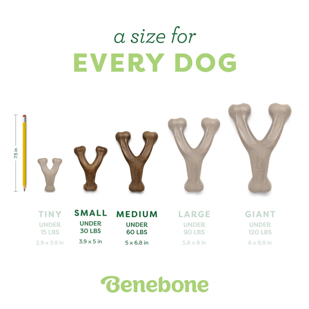 Wishbone 雞肉狗狗咀嚼玩具
