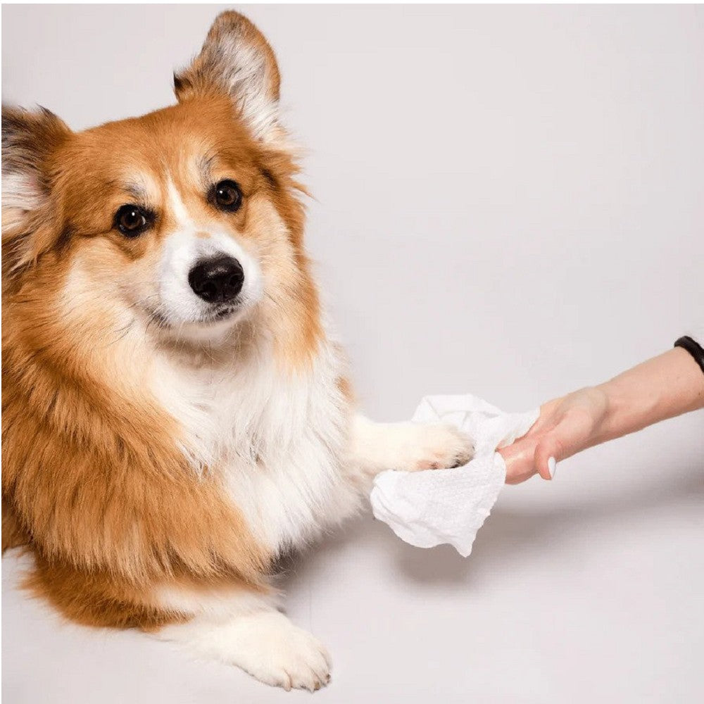 狗狗美容濕紙巾
