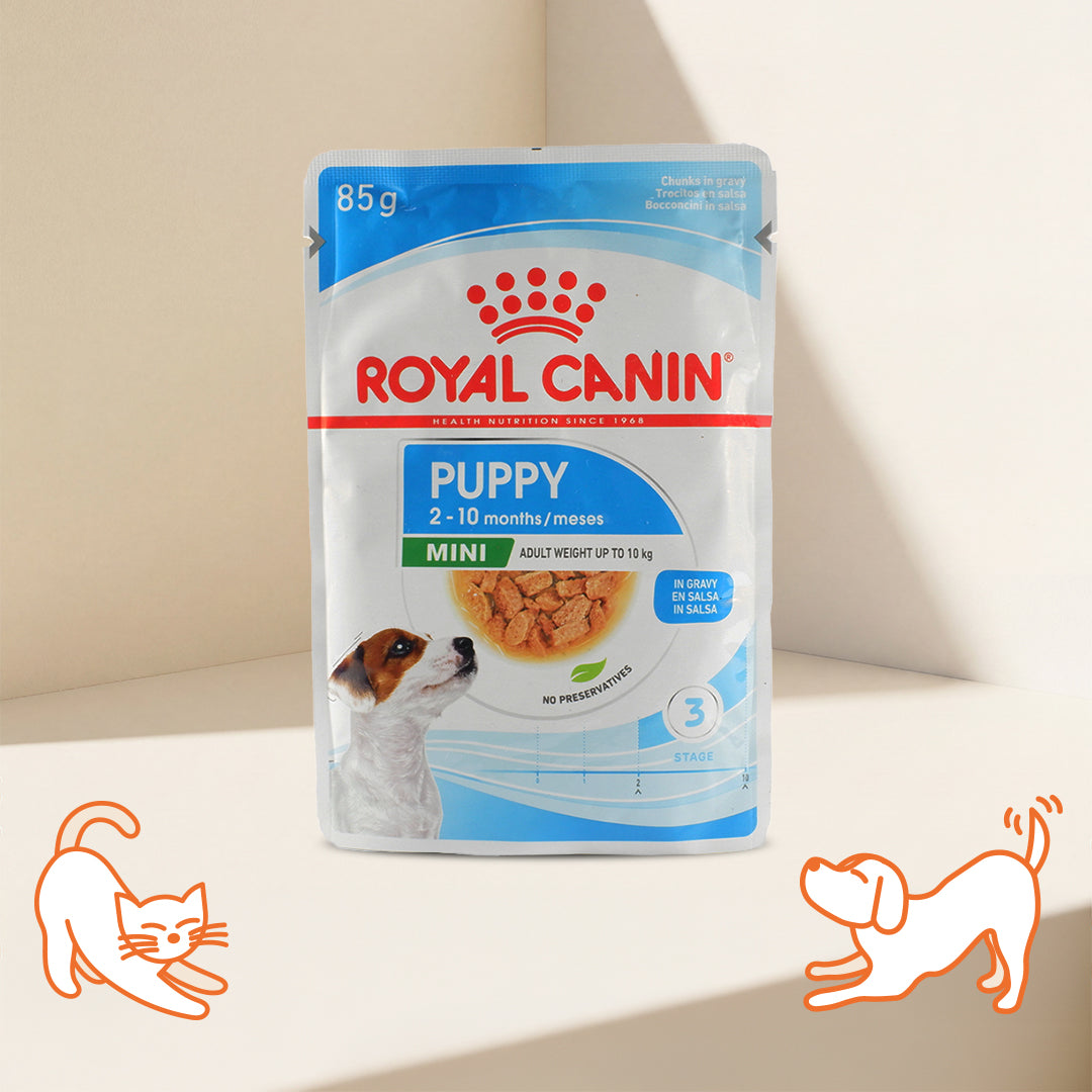 Royal Canin SHN 小型幼犬肉汁主食濕糧
