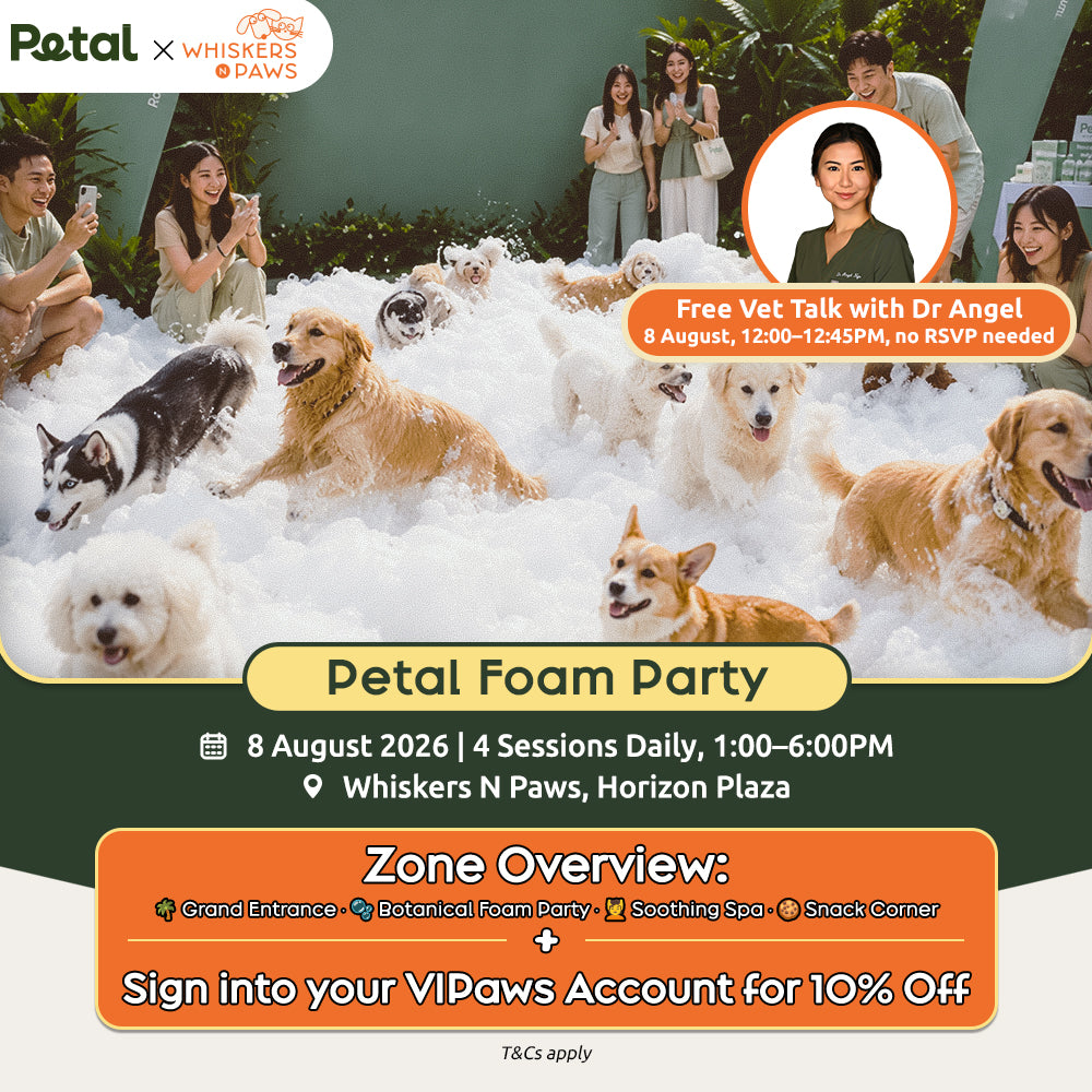 WNP X Petal Foam Party 2026