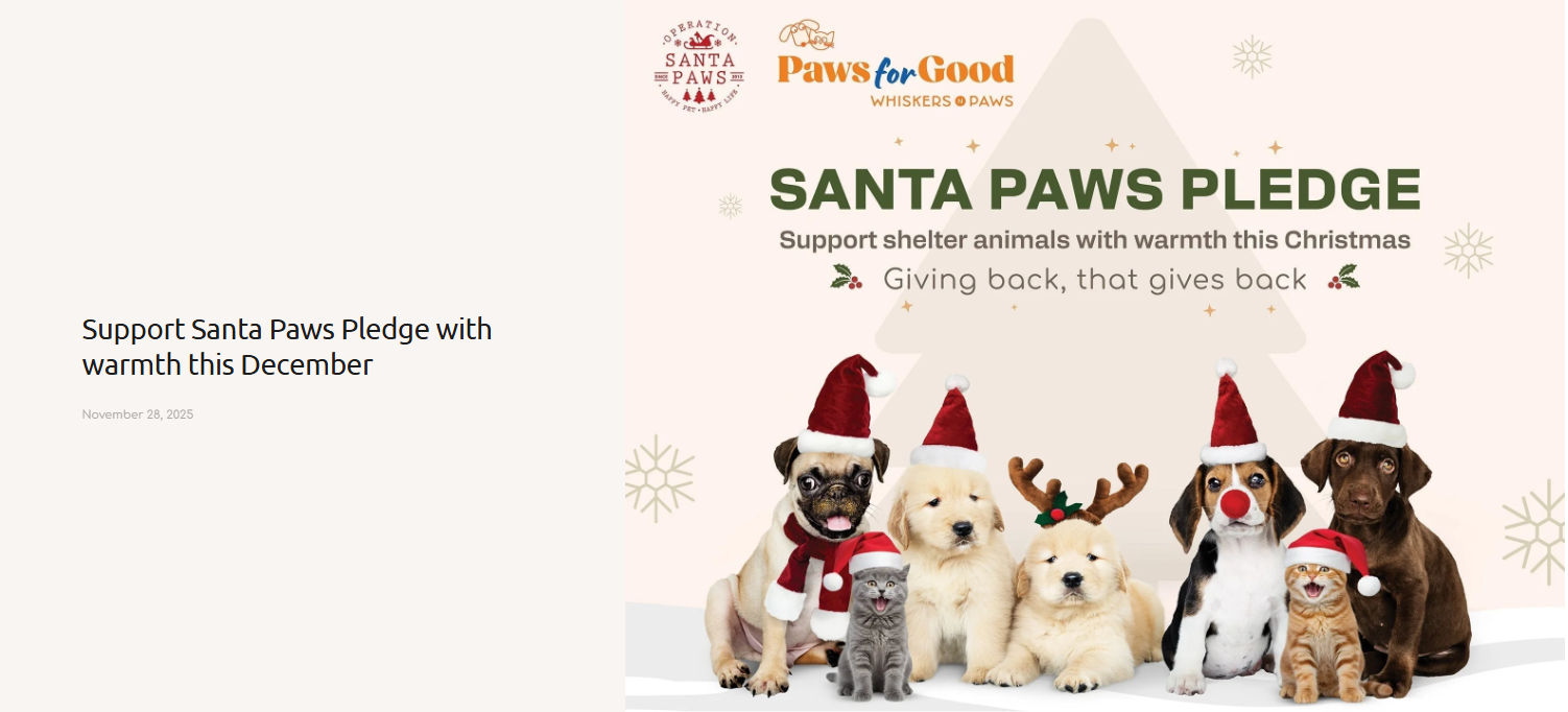支持Santa Paws 聖誕認捐｜為香港收容動物送上溫暖