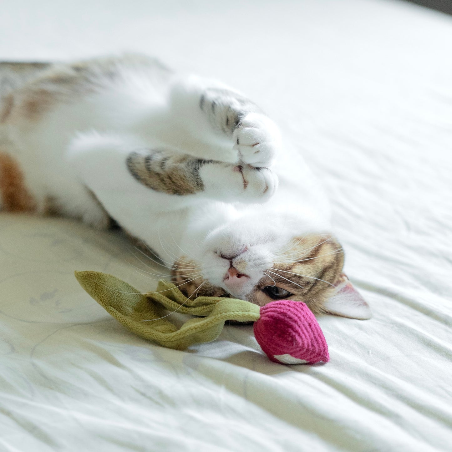 Kitty Radish 蘿蔔鈴貓玩具