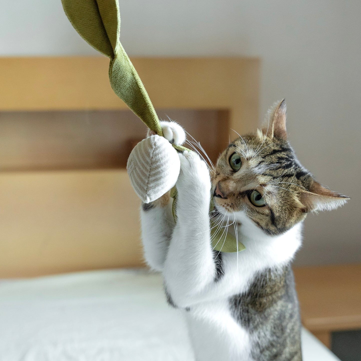 Kitty Radish 蘿蔔鈴貓玩具