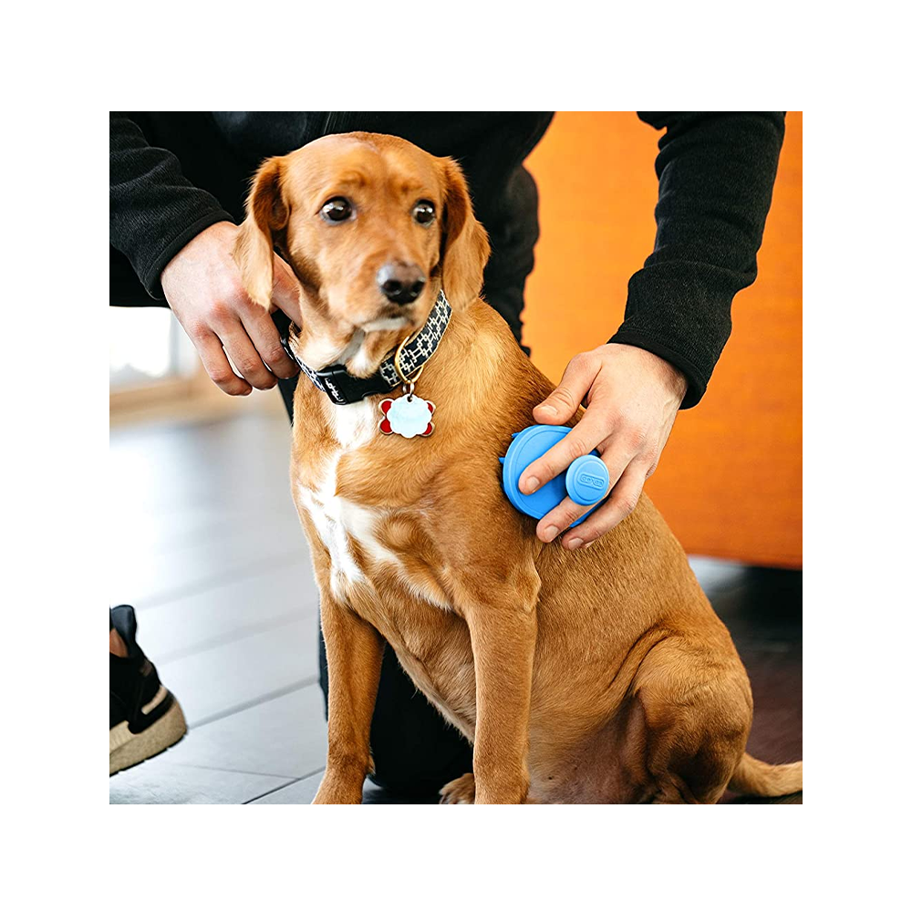 Dexas - BrushBuster Silicone Dog Grooming Brush 