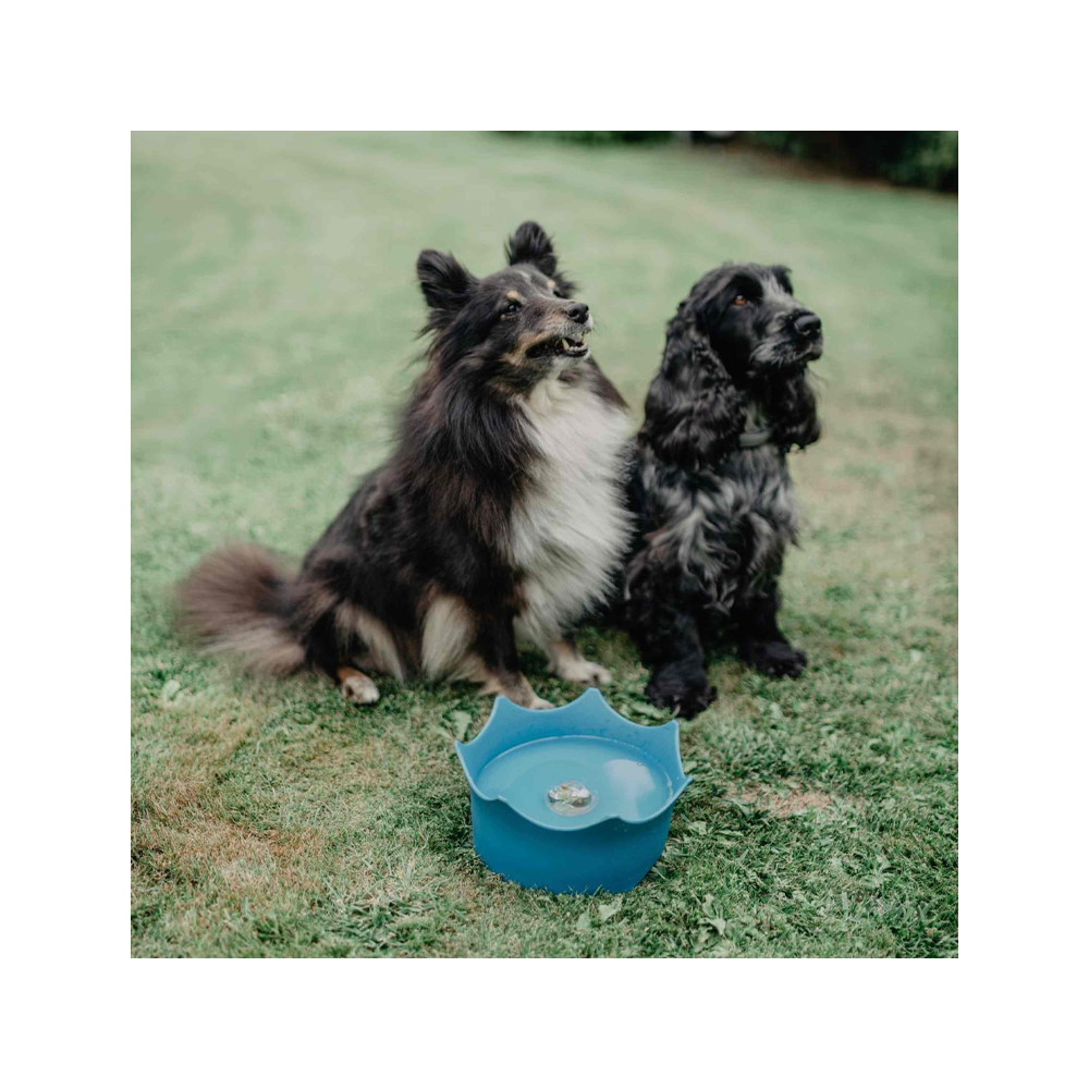 CrownJuwel - CrownJuwel Pet Bowl 