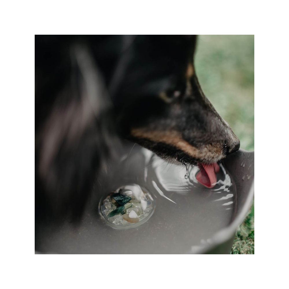 CrownJuwel - CrownJuwel Pet Bowl 