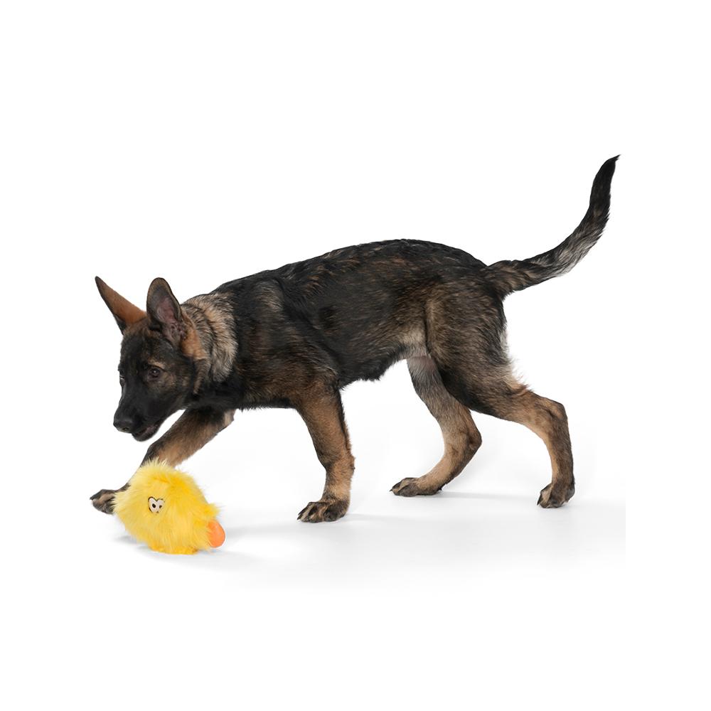 West Paw - Rowdies Taylor Dog Plush Toy 