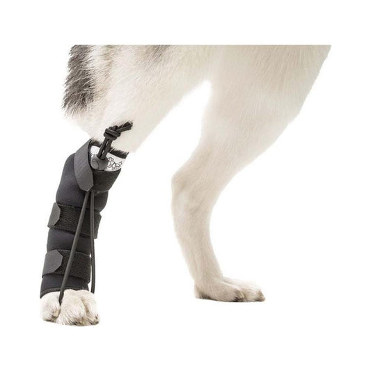 Walkin'Pet - No Knuckling Training Sock Large