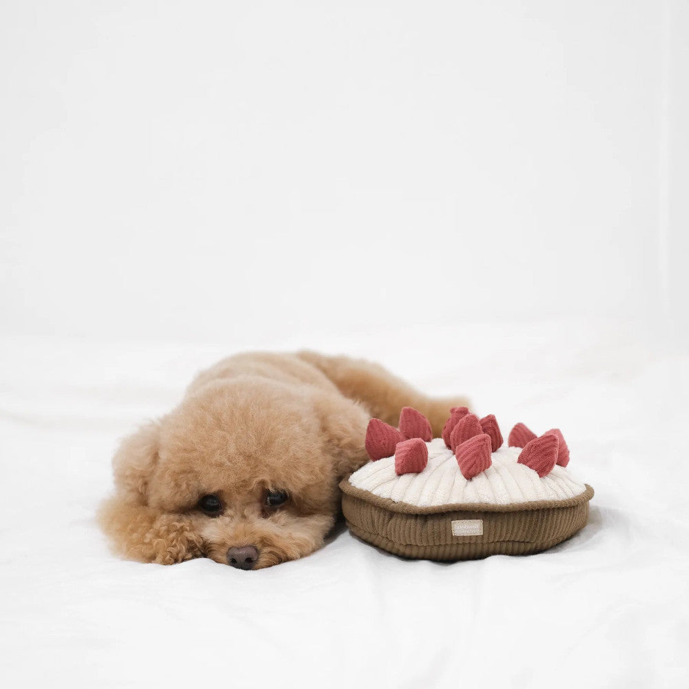 Berry Pie Snuffle & Squeaky Dog Toy