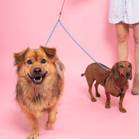 休閒系列 - 一拖二拖帶